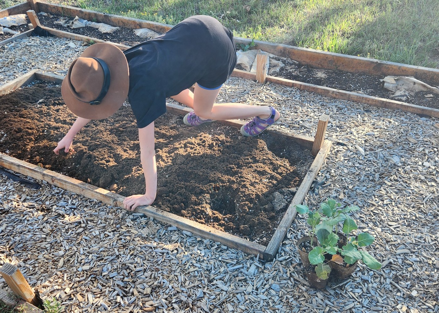 A child preparing a garden bed for planting