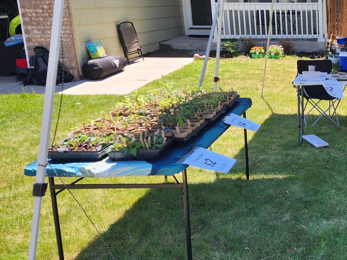 Starter plants arranged on tables under a market canopy